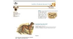 Desktop Screenshot of apkc.org